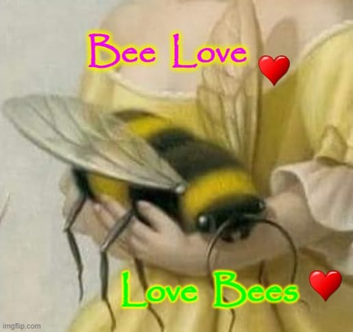 Honey D