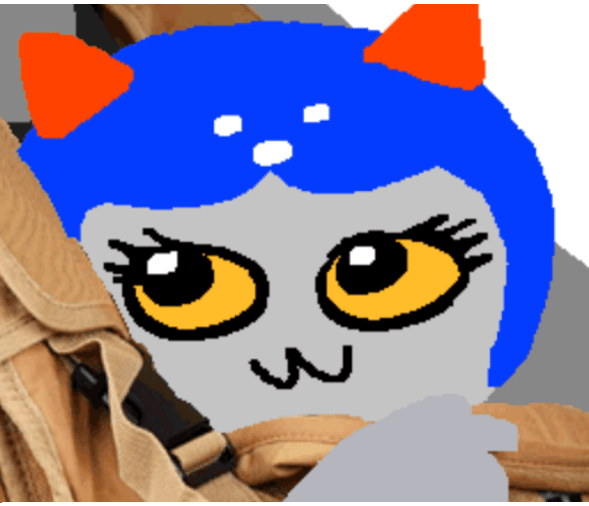 bluebootyraider