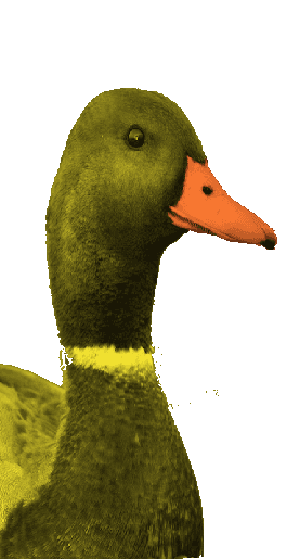 MaxEMiles
