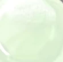Doc Scratch