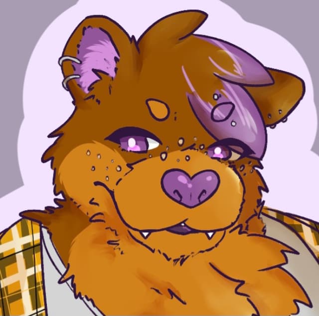 Bear named Jude