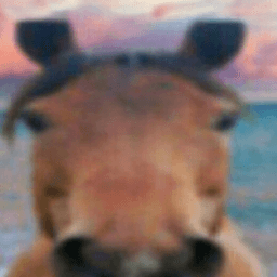 The Horse