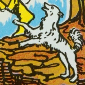 lazy_dog