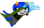 Oviruh/Niko