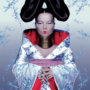 riri cool