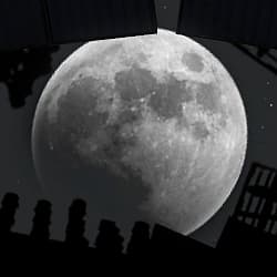 Moon Sprinquel