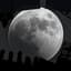 Moon Sprinquel