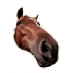 The Horse