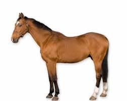 stitchedCretin // existnt_